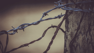 photo of barbed wire