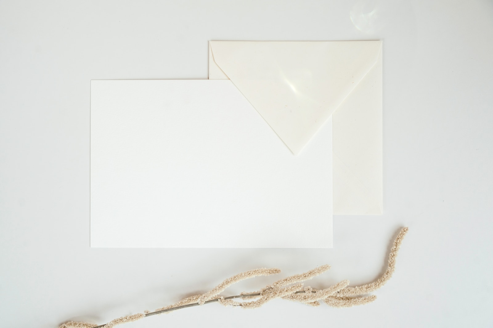 Photo by Elena Joland white paper on white surface