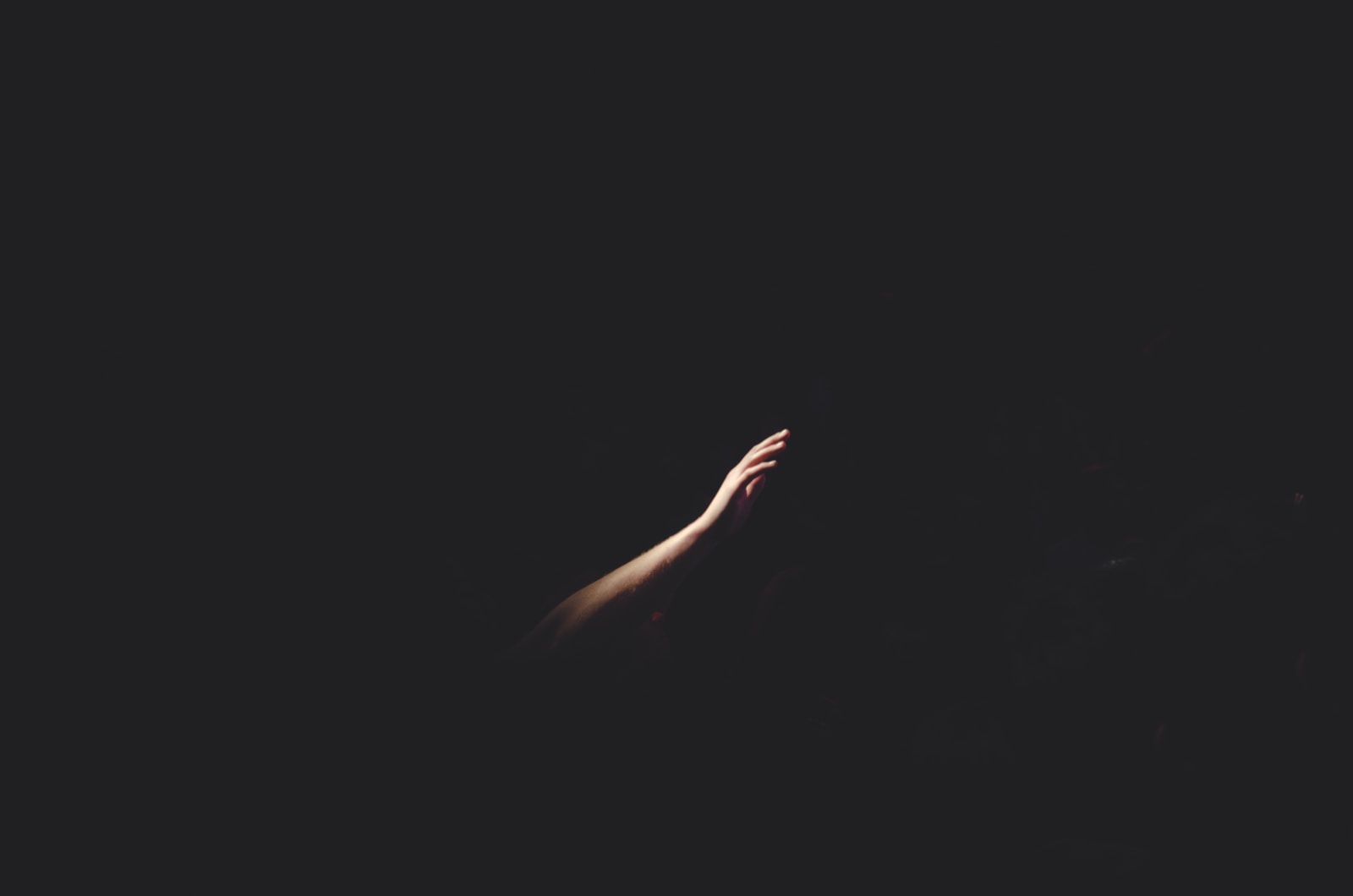 Photo by Cherry Laithang right human hand