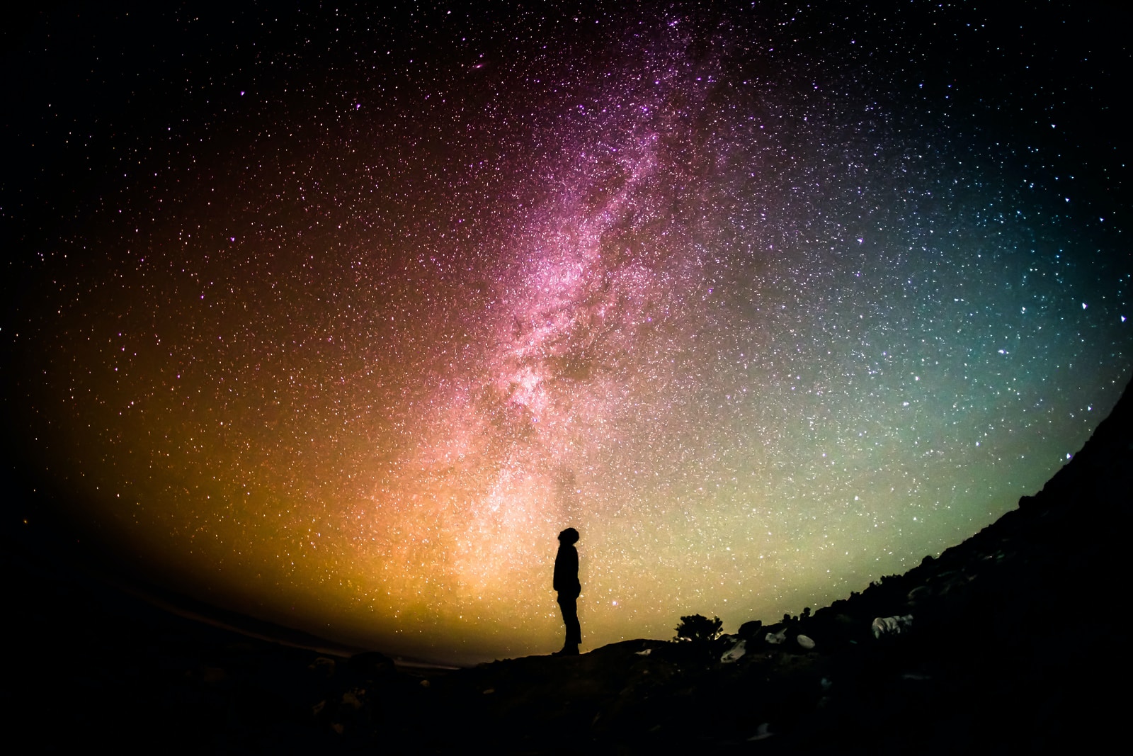 Photo by Greg Rakozy silhouette photography of person