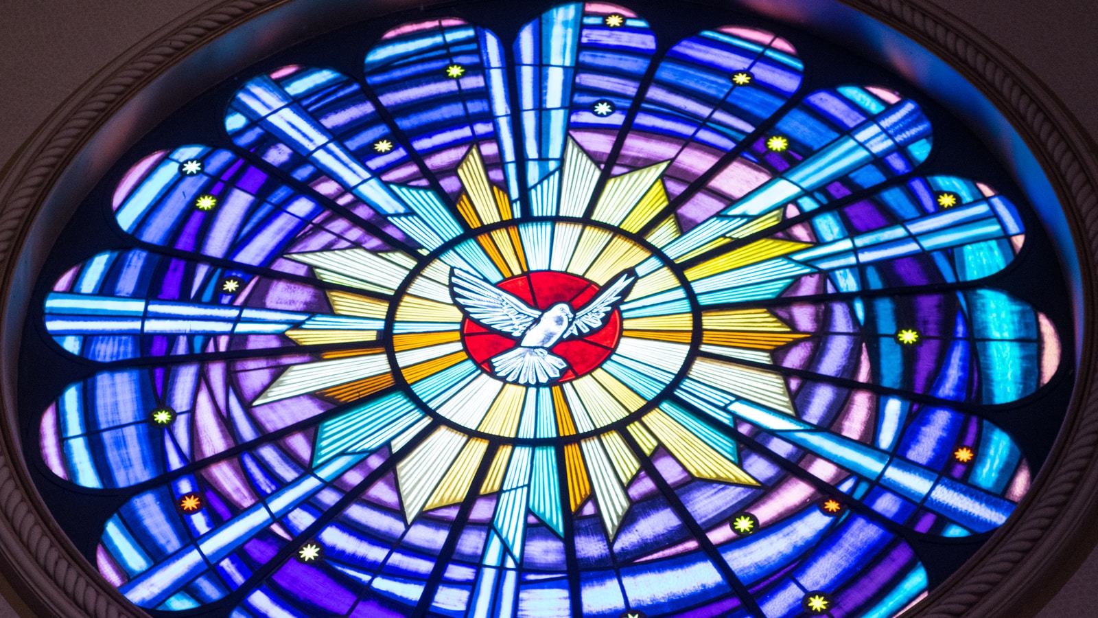 Photo by Mateus Campos Felipe religious stained glass