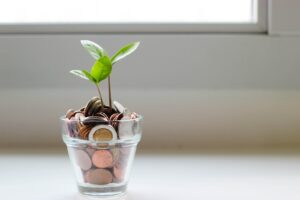 green plant in clear glass cup with pennies