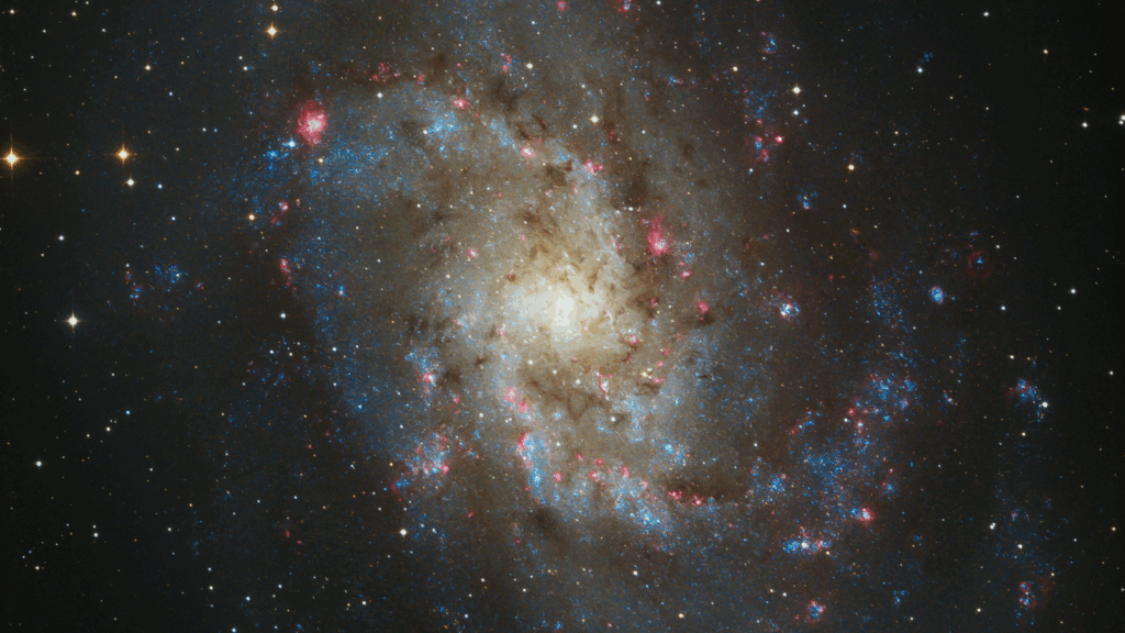 Telescope photo of the Triangulum galaxy in the constellation of Triangulum.