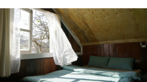 photo of a curtain by an open window blowing in the wind